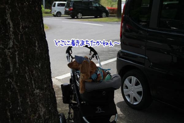 2025051001.jpg