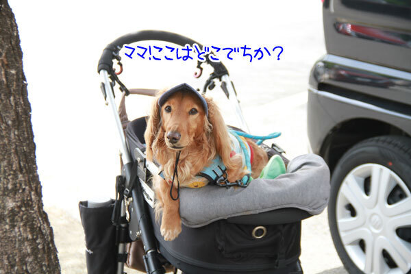 2025051002.jpg