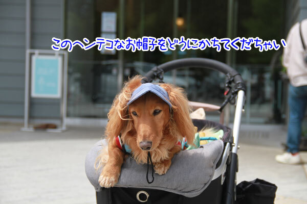 2025051005.jpg