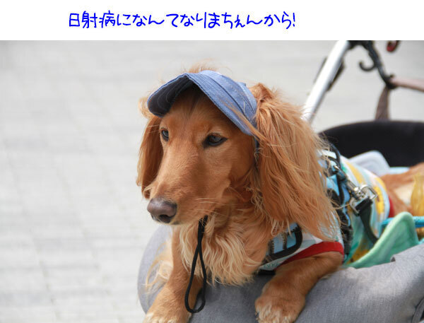 2025051006.jpg