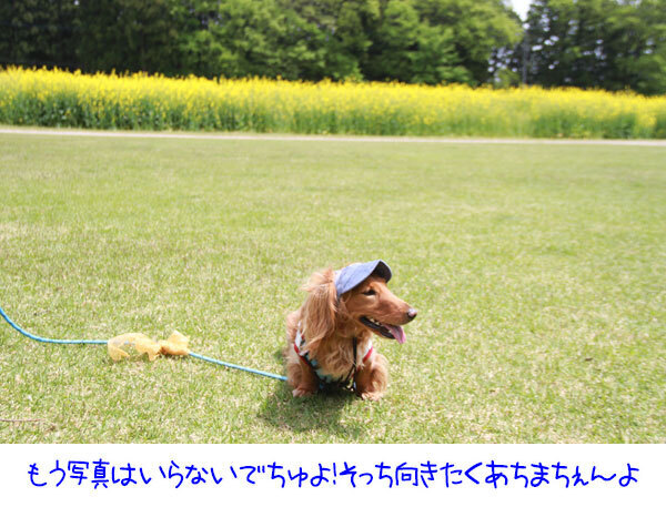 2025051009.jpg
