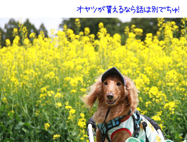 2025051011.jpg