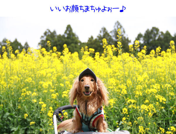 2025051012.jpg
