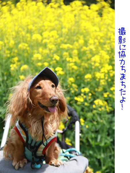 2025051013.jpg