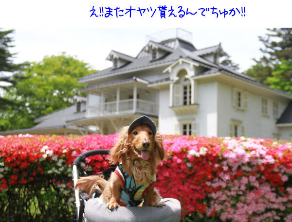 2025051019.jpg