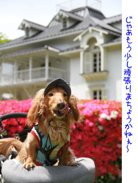 2025051020.jpg