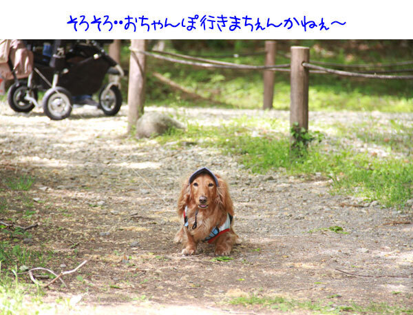 2025051025.jpg
