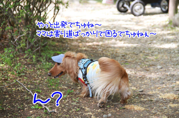 2025051026.jpg