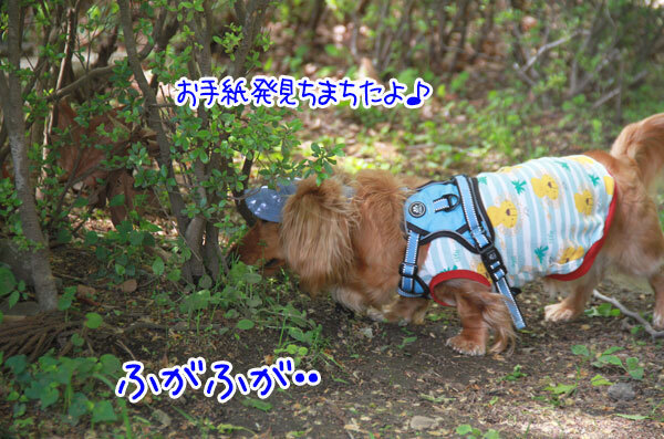 2025051027.jpg